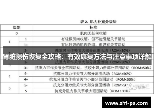 肾脏损伤恢复全攻略：有效康复方法与注意事项详解